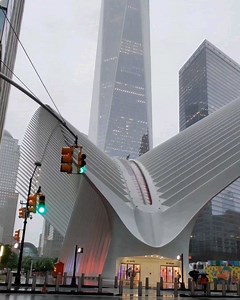 1.1M views · 84K reactions | Relax with the natural sounds of rain in...