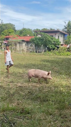 It’s time to walk #backyardfarming
