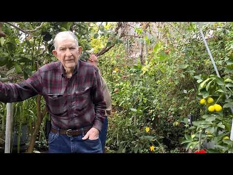 Greenhouse in the Snow Tour