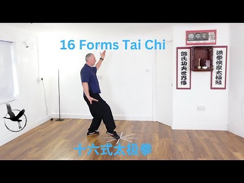 Beginner's Tai Chi: 16 Form Yang Style