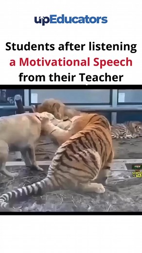 6.5M views · 53K reactions | Motivation can give you the right amount...