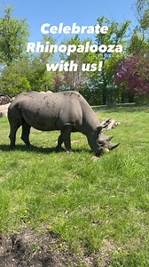 2.3K views · 25 reactions | Great Plains Zoo on Reels | Facebook