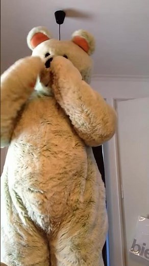 Trapped inside bear suit