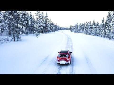 Midwesterners Warned About ‘Exploding Trees’ as Extreme Cold Watch Hits U.S.