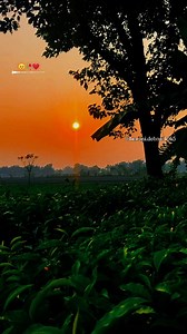 129K views · 70K reactions | Evening Vibes.......梁鹿❤️ #nature #sunset #viral #trending #feel #instagood #reels | Himani Debnath | Facebook