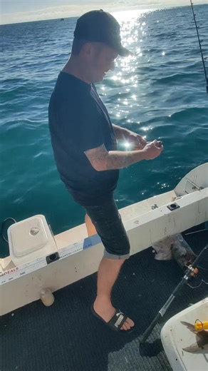 baiting up at the Noises Auckland fishing 🎣#foryoupage #FYP #aucklandfishing #fishtok #fishing