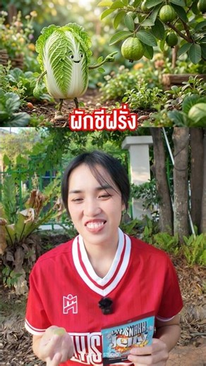Guess the Picture Puzzle EP.34