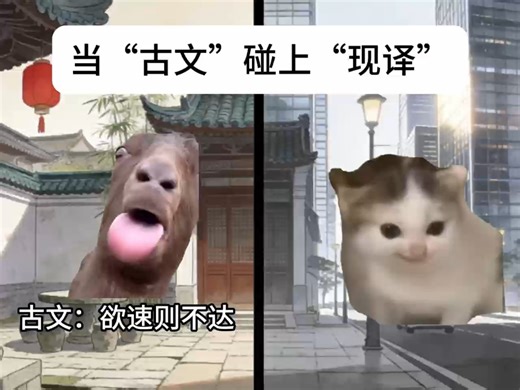 当“古文”碰上“现译”