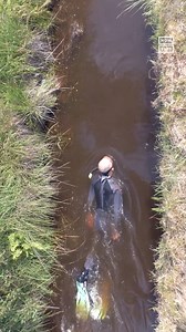 The World Bog Snorkeling Championships were held in Wales on August 28. The event featured participants in elaborate costumes attempting to swim a 55-meter-long course in a peat bog, using only their flippers. The event has been a local tradition since the mid-1980s, but this was the first time the competition was held since 2019 after a multi-year pause due to COVID-19. | NowThis