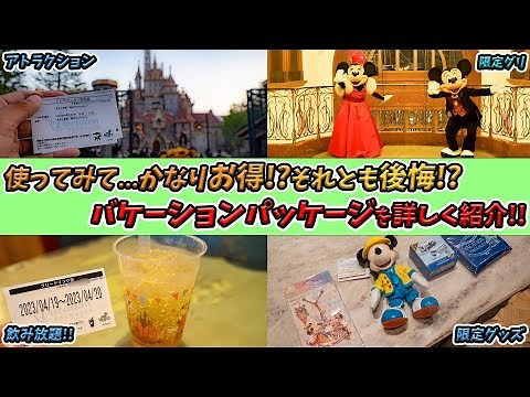 【一度は利用したい!!】東京ディズニーリゾートのバケーションパッケージについて詳しく解説！