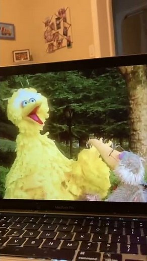 Sesame Street 25th birthday a musical celebration￼