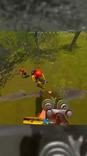 they ran right towards me... 😍