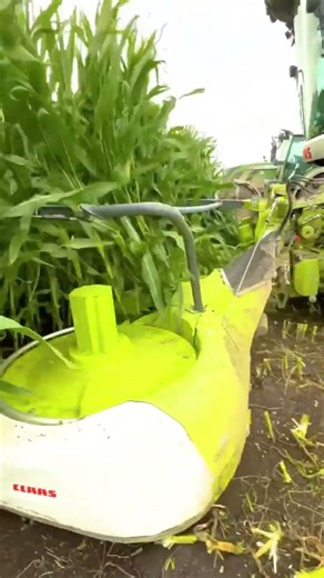 Perfect corn stalk harvesting process with powerful efficient tools