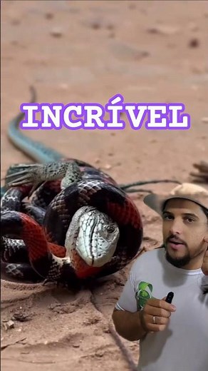 YOU WON'T BELIEVE WHAT THIS SNAKE DID! / FALSE CORAL SNAKE OR TRUE CORAL SNAKE?