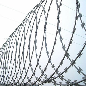 [Hot Item] Razor Type Barbed Wire / Rbt Razor Wire