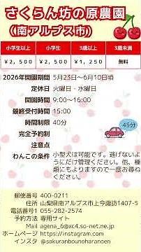 山梨わんこと一緒にさくらんぼ狩り2026🍒