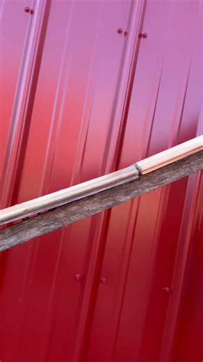 Mean kashine #backyardrollercoaster #update #backyard #rollercoaster