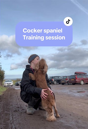 Lily | Best Barking Behaviour on TikTok