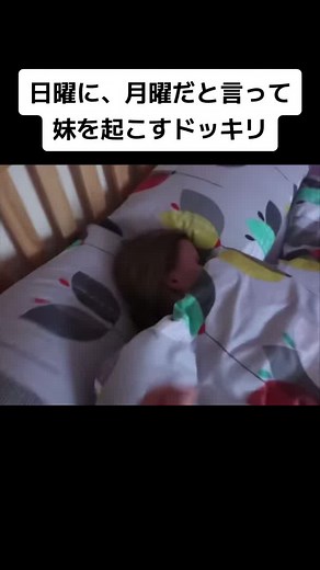 #海外ドッキリ #寝起きドッキリ