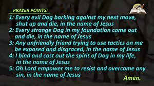 3K views · 90 reactions | Dream about dogs biblical meaning | Evangelist Joshua Orekhie | Facebook