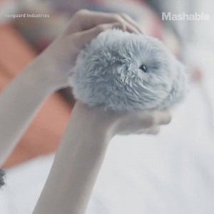 146K views · 161 reactions | This adorable AI fluff ball acts like a real pet. | Mashable | Facebook