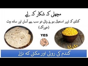 Flour Bread & Sweet Corn Fish Bait