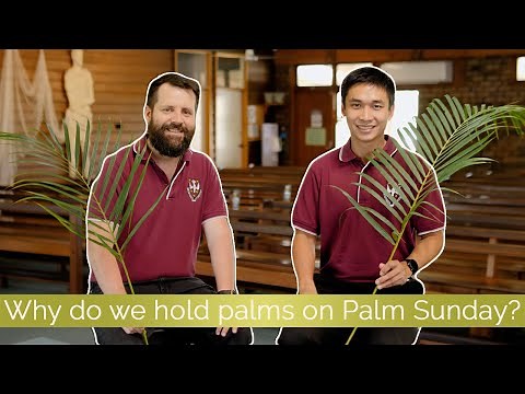 Palm Sunday - What is it and why do we hold palm branches?