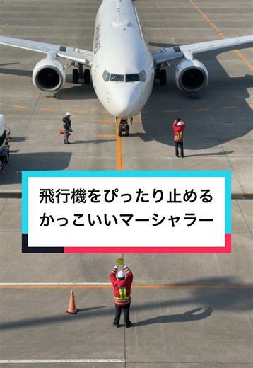 かっこいいマーシャラーによる飛行機操作