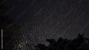 Night snowfall scene with snow illuminated by city lights, featuring a tree silhouette in the foreground, uhd, 4k, 3840, 2160