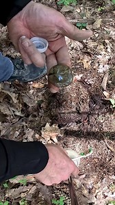 Metal Detecting NY on Reels