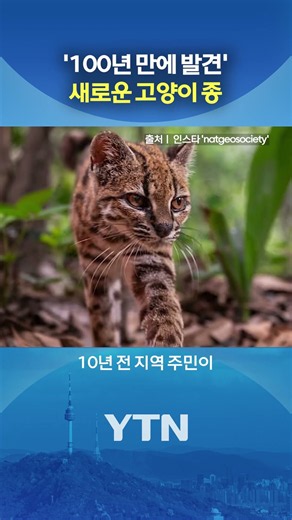 집고양이 아니었다 #shorts / YTN