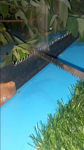 The Secret to Sharpening Any Hand Saw at Home