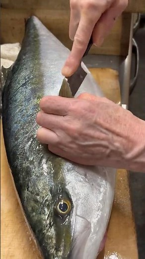 【絶品】ぶり捌き方。わらさのかま焼き、お刺身｜旨み凝縮！プロが教える和食の極み