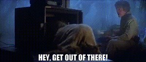 Hey, get out of there!