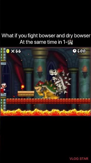 What if you fight bowser and dry bowser at the same time? New super Mario bros.