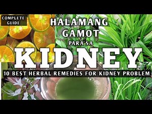 TOP 10 HALAMANG GAMOT PANGLINIS NG KIDNEY || NATURAL REMEDY FOR KIDNEY PROBLEM #naturer
