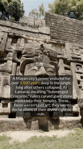A Mayan city whose power endured for over 3,000 years deep in the Belizean jungle. #history #archaeology #ancienthistory | Intriguing Archaeology