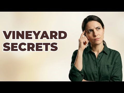 What Are Common Cover Crops In Vineyards?