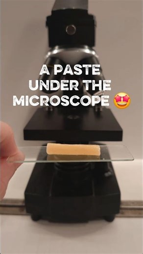 Microscopic observation of a paste #microscope #science #experiment
