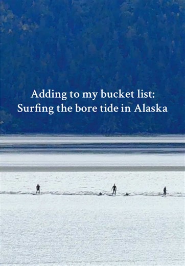 You know Alaska’s bore tide in Turnagain Arm is one of the biggest in the world? It can reach up to 10 feet tall, making for some epic surfing in the 49th state. 🏄‍♀️ Tidal bores happen when an incoming high tide meets an extreme low tide in a narrow inlet, and this one is the only bore this far north - and the only one bordered by mountains. Surfers ride the wave while it rushes through the arm, and it’s truly unlike anything else on Earth. If you’re just visiting Alaska, you’ll need some luck