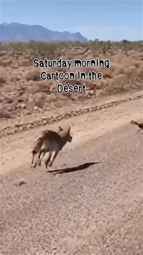 1K reactions · 247 shares | Robert Vail Grant on Reels | Facebook