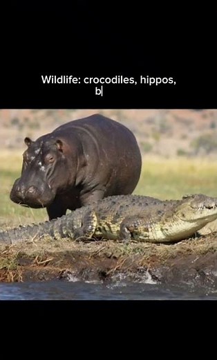 The Nile River (Africa).