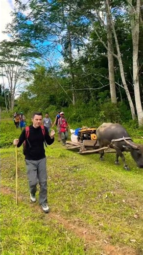 #nature #animals #paradisephilippines #philippines