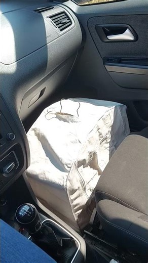 TRINCA FERRO TORNADO #trinca-ferro #bird #birds #pet #aves #passaros #like #usa #live #2025 #pet #fy