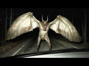 Cryptid Sightings That Make Monsters Feel Real
