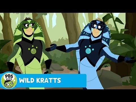 WILD KRATTS | King Cobra! | PBS KIDS