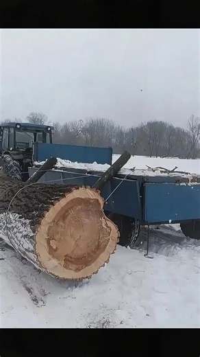 SmartLogistics: Optimizing the Future of Global Freight In today’s logistics industry, SmartLogistics is leading the transformation, providing seamless solutions from Air Freight Support and Cross-border Logistics to E-commerce Logistics and Freight Support. With the growing need for efficiency and transparency, businesses rely on advanced logistics technology to streamline operations. Efficient Logistics Support System Whether it's International Shipping or Freight Support, businesses need reli