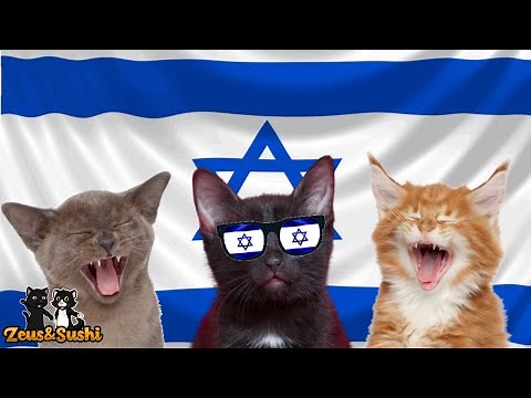 Israel National Anthem With Lyrics | Cats Sing Israel National Anthem