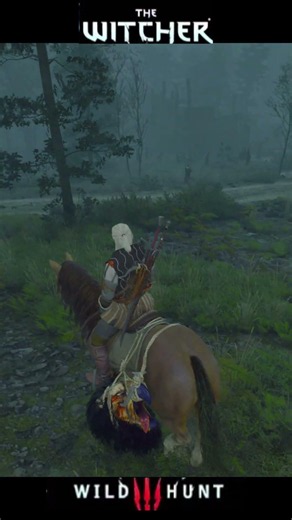 The Witcher 3 Wild Hunt - Traversing the Game World Short 17 - Disarmed #gaming #shorts