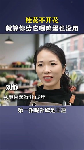 Boost Your Osmanthus Bloom: Egg Myths Debunked